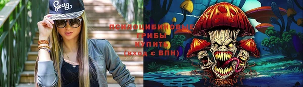 стафф Алексеевка