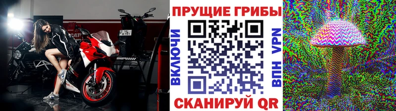 нарко площадка как зайти  Сатка  Галлюциногенные грибы GOLDEN TEACHER  магазин   